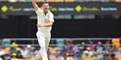 Aussies quicks ready to dig deep at Gabba | Port Macquarie News