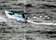 Kill the Drug War: Death, Decisions, and the Limits of Military Power