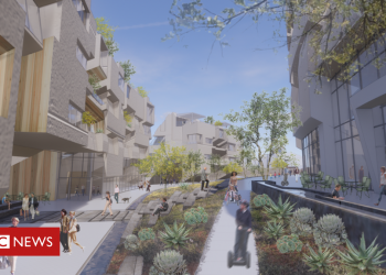 Nevada smart city: A millionaire’s plan to create a local government – BBC News