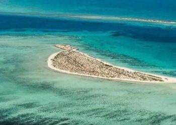 PIF’s Cruise Saudi outlines port development plans, hires senior staff