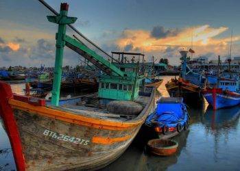 Vietnam needs to make its fishing practices more sustainable