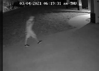 Authorities search for Port Charlotte thief caught on camera