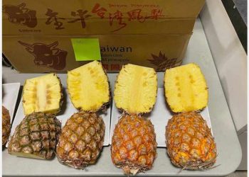 Taiwanese pineapples arrived in Canada with delayed shipment and varying quality