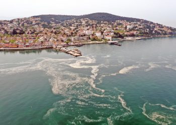 Sea snot in Marmara Sea threatens tourism, fisheries, human health