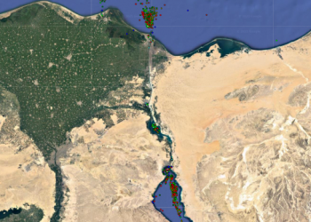 20 Livestock Carriers Caught in Suez Canal