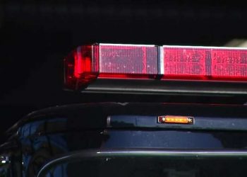 Teenager in critical condition after breaching whale lands on fishing boat – Boston News, Weather, Sports