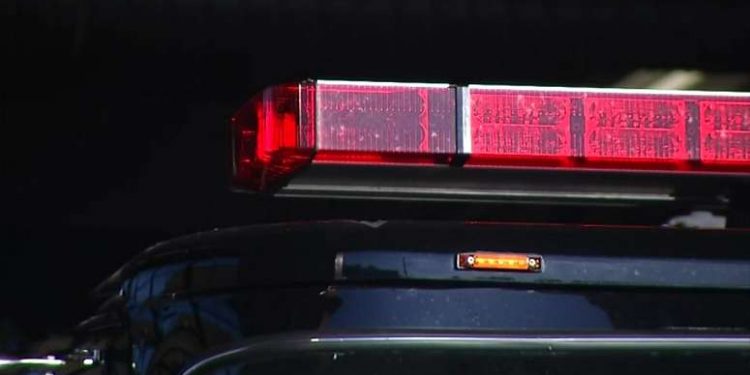 Teenager in critical condition after breaching whale lands on fishing boat – Boston News, Weather, Sports
