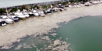 Strange “Sea Snot” Takes Over Marmara Sea in Turkey