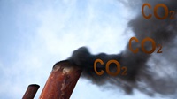 BIMCO says charterers should pay for carbon